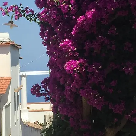 Casa Vacanze To Live Capri Appartamento