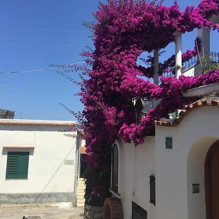 Casa Vacanze To Live Capri Appartamento Anacapri (Isola di Capri)
